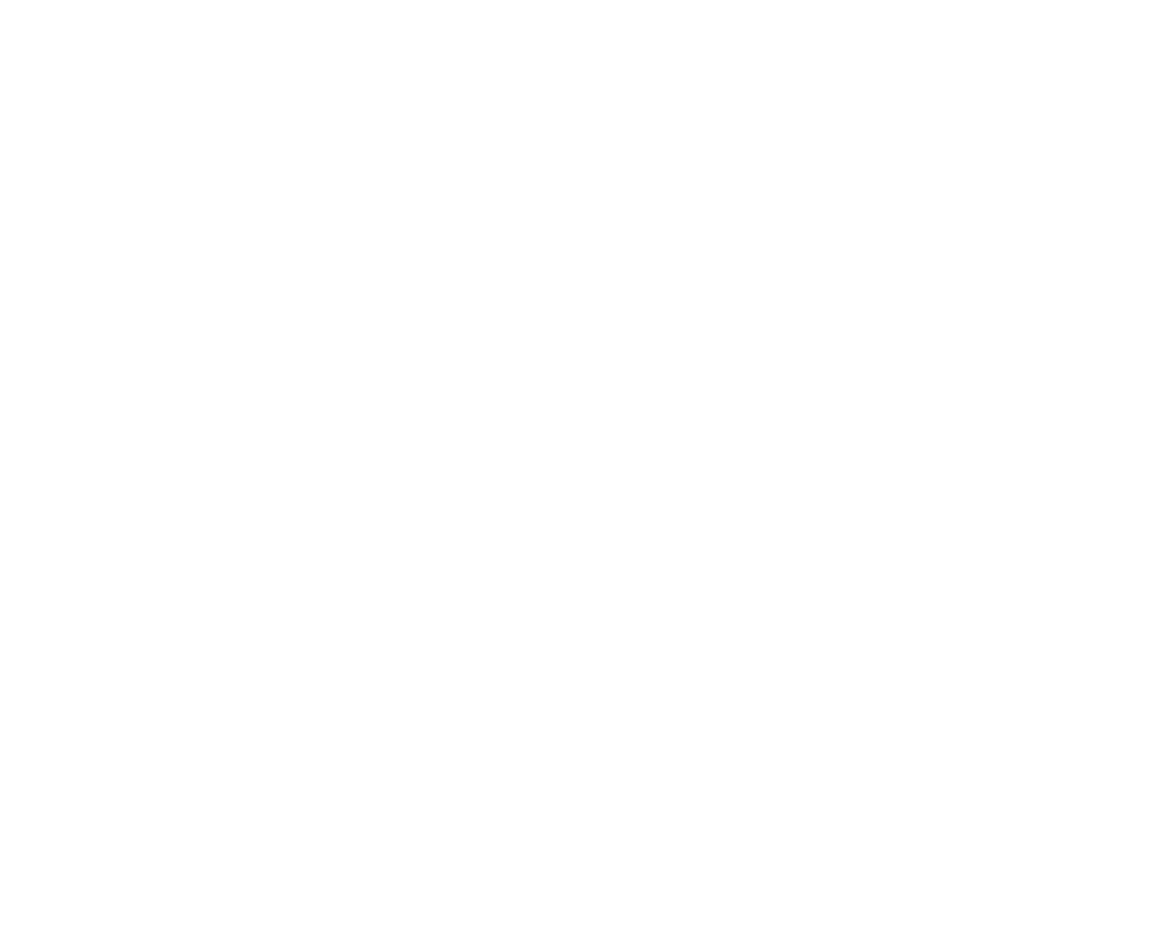 BC Lions logo